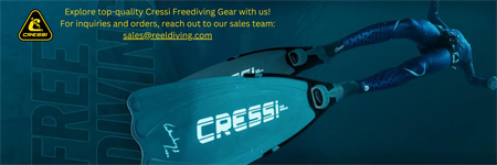 Freediving gear